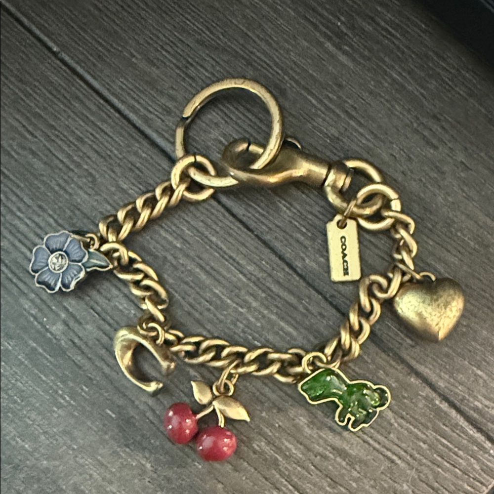 Coach Gold Charm Key Holder with Colorful Charms